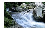 採水地