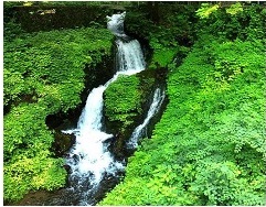 名水百選 おいしい水